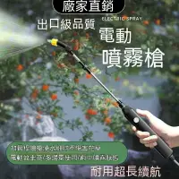 在飛比找樂天市場購物網優惠-免運 可攜帶電動噴水槍 充電打藥機 洗車工具 澆花工具 電動