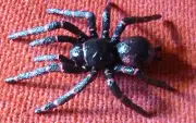 AUSTRALIAN ANIMAL GIFT SYDNEY FUNNEL WEB SPIDER Small Replica Size 75mm