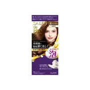 Dariya - Salon De Pro Foam Hair Color Extra Rich - 1 set - 4 Light Brown