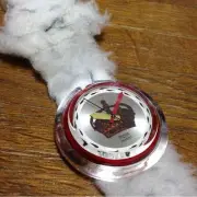 Swatch Fluffy Pop Model