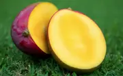 Buy Mango Zillate grafted fruit tree in australia (Mangifera indica)