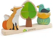 Tender Leaf Toys Foxy Magnetic Stacker - Wooden Stacking Block Set