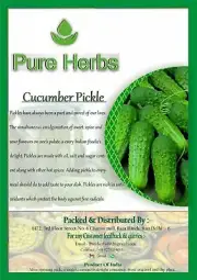 Pure Herbs Cucumber Pickle For Indian Taste