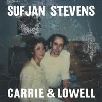 在飛比找蝦皮購物優惠-Sufjan Stevens - Carrie And Lo