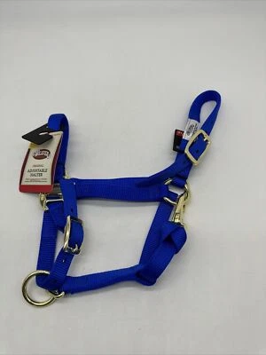 Weaver Leather Nylon Weanling Pony Adjustable Halter Blue 3/4”