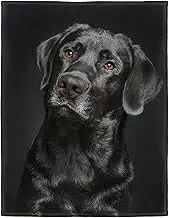 HommomH Black Labrador Blanket, Gorgeous Dog Stunning Photo, Soft Fluffy Fleece Throw 60"x80"