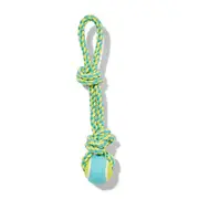 All Day Fetch Ball Double Knot Tug Dog Toy Blue Yellow