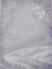 Moonlit Snow Designer Printed AIDA Fabric. Canvas for embroidery with an appl...