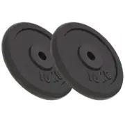 2 Pcs Weight Plates For Barbell Dumbell Curl Bar 30mm Diameter Cast Iron 20kg