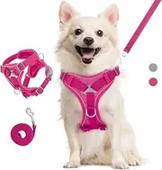 Cat Harness and Lead Set for Walks, Adjustable Kitten Vest Harness with Reflective Strip, Escape Proof Pet Safety Vest for Cats, Puppies, L, Magenta
