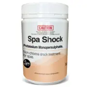 Spa World Spa Shock 500g