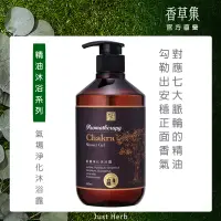 在飛比找博客來優惠-【香草集 JustHerb】氣場淨化沐浴露500ml