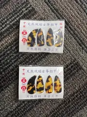 Guzheng Celluloid Finger Picks - Medium -Set of 8 picks