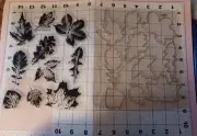 Universal Thin Metal Die Cut Tool Stamp Halloween Fall Leaves Thanksgiving Leaf