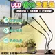 【WIDE VIEW】三管LED自然光植物生長燈(植物日照燈 植物燈管 多肉燈 補光燈/QRCP-00047)
