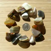 Mixed Agate Crystals 17 Polished Geode Stones Banded Gray & Brown Colors 8oz Lot