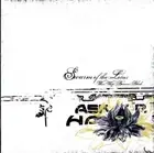 Swarm Of The Lotus ‎– When White Becomes Black CD - NEW - Sealed