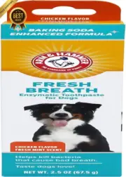 Dog Toothpaste Enzymatic Fresh Breath Plaque Tartar Remover Chicken Flavor
