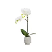 Glamorous Fusion Orchid 52cm White Artificial Faux Plant Decorative Arrangement