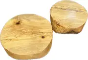 Spalted Ash Bowl Blanks 2 Set (8x3 & 7x3) Spalted Wood Turning Blanks,