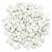 Tuscan Path 10-15mm 10kg Snow White Quartz Pebbles