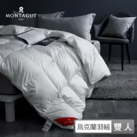 在飛比找momo購物網優惠-【MONTAGUT 夢特嬌】JIS90%頂級烏克蘭羽絨被冬被