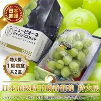 在飛比找PChome24h購物優惠-【WANG蔬果】日本岡山晴王麝香葡萄特大串1房x2盒(670