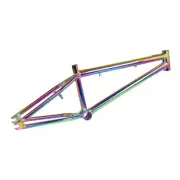 ENIX 20" BMX FRAME MATTE MID-BB OIL SLICK NEON