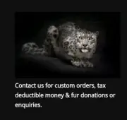 CHARITY DONATION SYBERGOTHESS TIGER JAGUAR LEOPARD PANTHERA $100 NOT FOR PROFIT