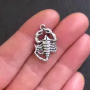 BULK 30 Scorpion Charms Antique Silver Tone 2 Sided - SC424
