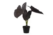 Rogue Artificial Alocasia Plant In Pot Fake Indoor Potted Plant Home Decor