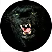 Slipmat Slip Mat for Rega or Single 7" DJ Turntable Record Player BLACK PANTHER