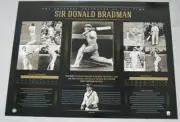 SIR DONALD BRADMAN THE GREATEST LIMITED EDITION PRINT WARNE WAUGH INVINCIBLES