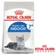 Royal Canin法國皇家 IN+7室內熟齡貓飼料 1.5kg 2包組