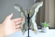 Carved Natural 21cm Agate geodes Butterfly Wings,Crystal Wing,Reiki Heal + Stand