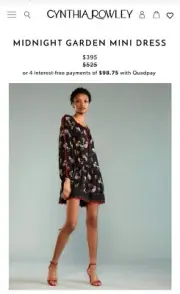 NWT - Size Small - Cynthia Rowley Garden Mini Dress