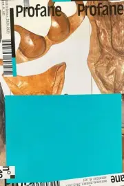 PROFANE MAGAZINE ISSUE 19 (FREE SHIPPING - BRAND NEW MAGAZINE)