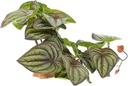 WOONEKY Artificial Reptile Plants for Aquarium and Decoration Lifelike Greenery Stable Base for Reptile Habitats Fish Tanks and Landscaping