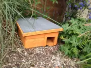 Hedgehog Feeder/House Nest Box dual purpose House