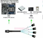 1m Mini SAS 36P SFF-8087 to 4 X SATA 7Pin HD Splitter Breakout Blue HD Cable