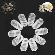 10 Pcs Spider Temporary Using Box Hermit Crab Transportation Breathable Packaging Box Plastic Carrier for Hermit Crab Tarantula Scorpion Millipede Spider Tiny Reptiles