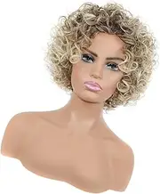 FOMIYES Short Afro Wig High Temperature Fiber Hair Cover for Daily Use Fashion Womens Wig with Bangs for Theme Parties and Cosplay Durable and Fun Hairpiece