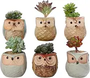 Succulent Plant Pot Ceramic Plant Container Outdoor Indoor Cactus Plants Pot Small Ceramic Flower Pot Plant Holder for Home Office Decor Owl Style 6PCS.