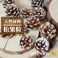在飛比找松果購物優惠-[台灣出貨] 天然乾燥松果粒 乾果 聖誕節 花圈 DIY材料
