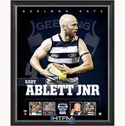 Gary Ablett Jnr. Geelong F.c. Official Licensed Afl Print Framed