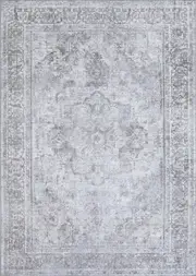 Pety Ash Machine Washable Rug