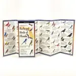 SIBLEY’S BACKYARD BIRDS OF FLORIDA: FOLDING GUIDE