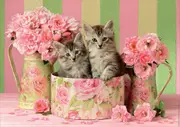 Educa - Kittens with Roses Puzzle 500pc