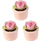 3PK Bomb Cosmetics Garden Party Scented Bath Bomb Mallow Body Fragrance Fizzies