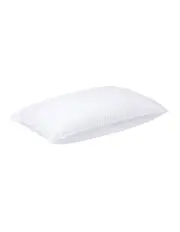 [Jaspa Herington] 2 Pack Soft Pillow